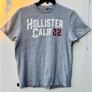 Hollister Calif 22 Mens Graphic T-Shirt Gray Short Sleeve Crewneck Size L